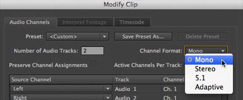 premiere not playing left and right chanel audo|adobe left audio only.